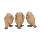 Three Wise Robin Figurines 8cm