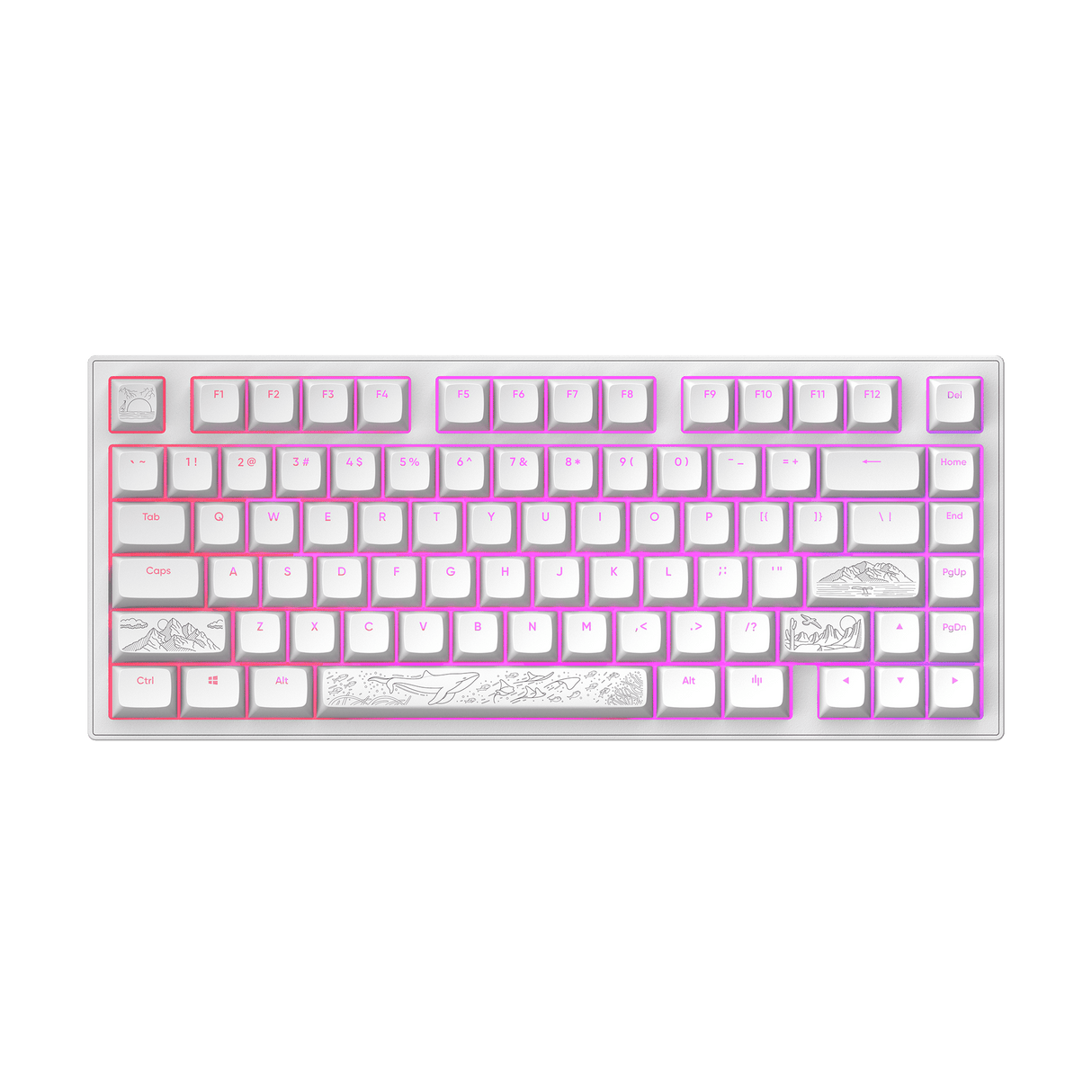 Dark Project ALU Terra Nostra R2 White - Wired Gaming Keyboard (ANSI)