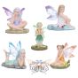 Enchantment Fairies