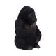 Gone Wild Gorilla Figurine 15.5cm