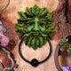 Tree Spirit Green Man Door Knocker