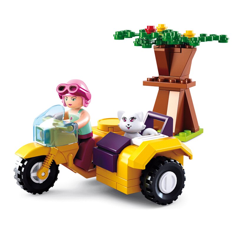 Motorcycle with Sidecar