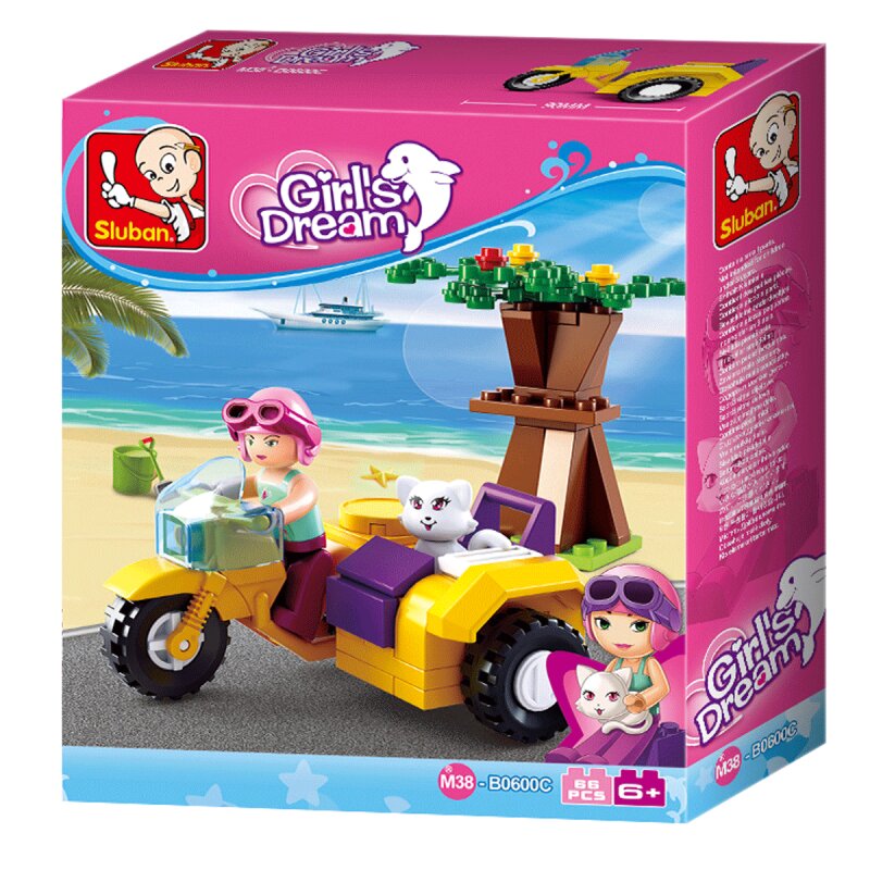 Motorcycle with Sidecar