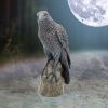 Ravens Rest Figurine Gothic Bird Ornament