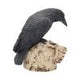 Raven Remains Figurine Crow Skull Gothic Ornament