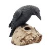 Raven Remains Figurine Crow Skull Gothic Ornament