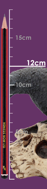 Raven Remains Figurine Crow Skull Gothic Ornament