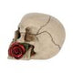 Rose From the Dead Skull Ornament 15cm