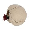 Rose From the Dead Skull Ornament 15cm
