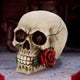 Rose From the Dead Skull Ornament 15cm
