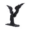 Angel of Death Elegant Reaper Figurine  28cm