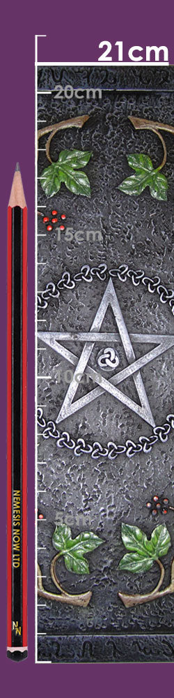 Wiccan Book of Shadows Journal With A Pentagram Resin Cover (24cm)