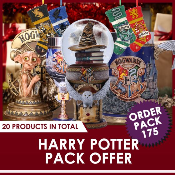 Harry Potter Hogwarts Collectible Tankard 15.5cm