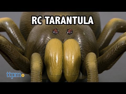Fjernstyret edderkop - Tarantula