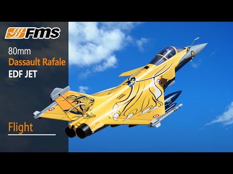 1/11 Jet 80mm EDF Dassault Rafale PNP kit