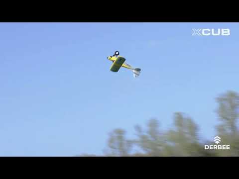 Plane 1500mm : XCub "STOL" PNP Kit