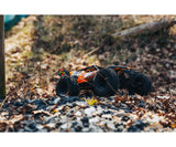 1:10 Bokusa BL 2S 4WD RTR orange