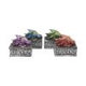 Dragons Safehold Box Set of 4 Trinket Boxes
