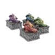 Dragons Safehold Box Set of 4 Trinket Boxes