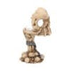 Deliberation Skull Tealight Holder 15.5cm
