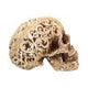 Celtic Decadence Skull 18.5cm