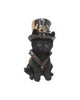 Familiar Flight Decorative Resin Cat Figurine