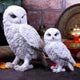 Snowy Watch Large White Owl Ornament