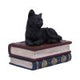 Salems Spells Witches Familiar Black Cat and Spellbook Box