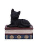 Whisker Wish Black Cat Figurine