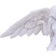 White Angels Offering Kneeling Caped Angel Figurine