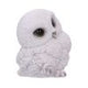 Feathers Cute Round Snowy Owl Figurine