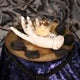 Palmist's Prediction White Chiromancy Hand Candle Holder