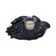 Palmist's Guide Black Chiromancy Hands Candle Holder