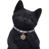 Cattitude Black Cat Figurine 16.5cm