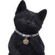 Cattitude Black Cat Figurine 16.5cm