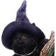 Kitty's Grimoire Figurine in Green 8.2cm