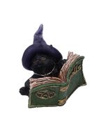 Witches Helpers Key Hanger 20cm