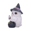 Owl Potion Figurine 17.5cm