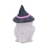 Owl Potion Figurine 17.5cm