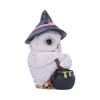 Owl Potion Figurine 17.5cm