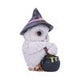 Owl Potion Figurine 17.5cm