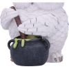 Owl Potion Figurine 17.5cm