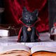 Vampuss 16cm Black Bat Cat Figurine