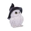 Snowy Spells Owl Figurine 9cm