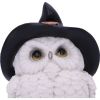 Snowy Spells Owl Figurine 9cm