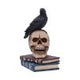 Raven's Spell Figurine 10.3cm