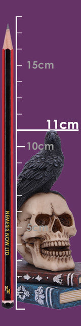 Raven's Spell Figurine 10.3cm