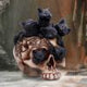 Vampuss 16cm Black Bat Cat Figurine