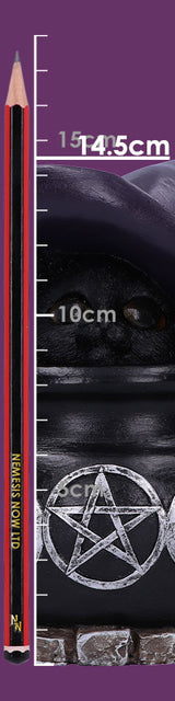 Peek-a-brew Light Up Cat Ornament