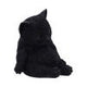 Daydream Sleeping Black Cat Figurine 13cm